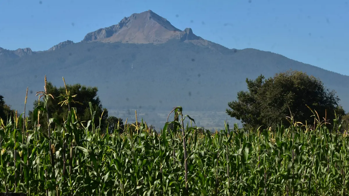 MALINCHE 2