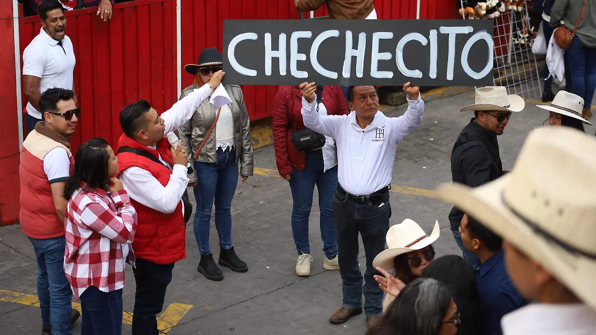 Toro Chechesito (3).