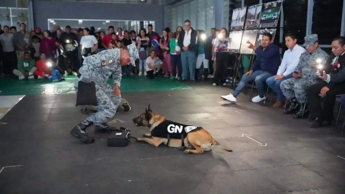 Canina binomio canino