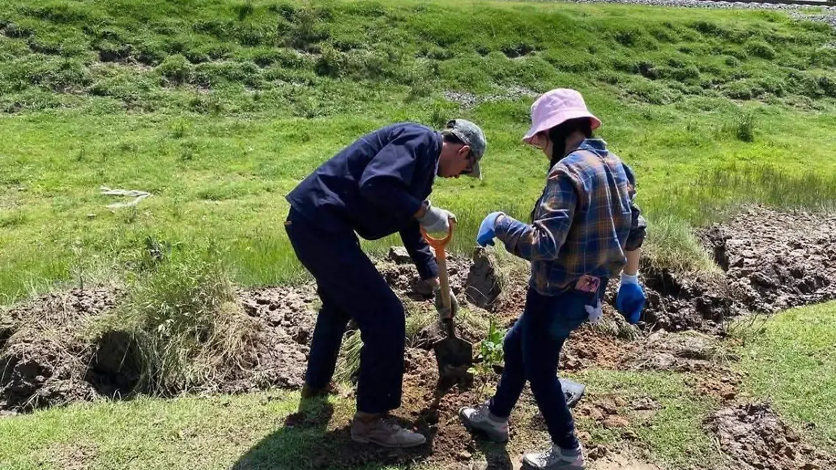 consulta saneamiento 2