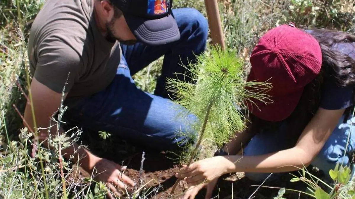 REFORESTACIÓN EN NANACAMILPA