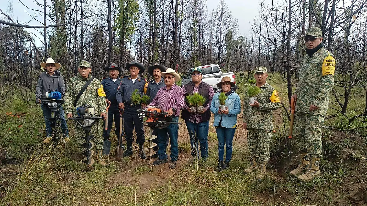 REFORESTACIÓN 2