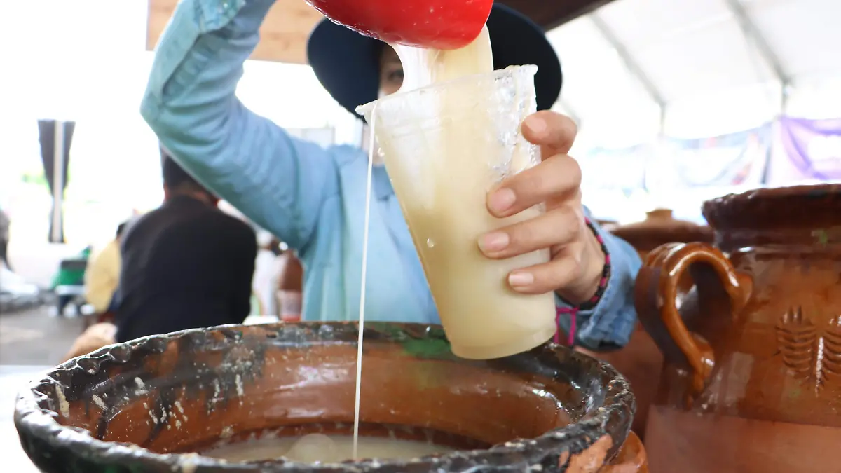 PULQUE (8)