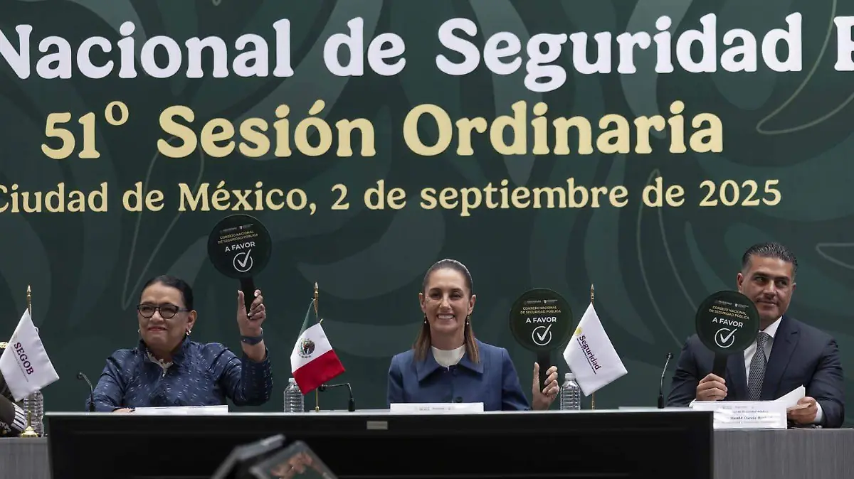 Consejo Nacional de Seguridad Pública (1)