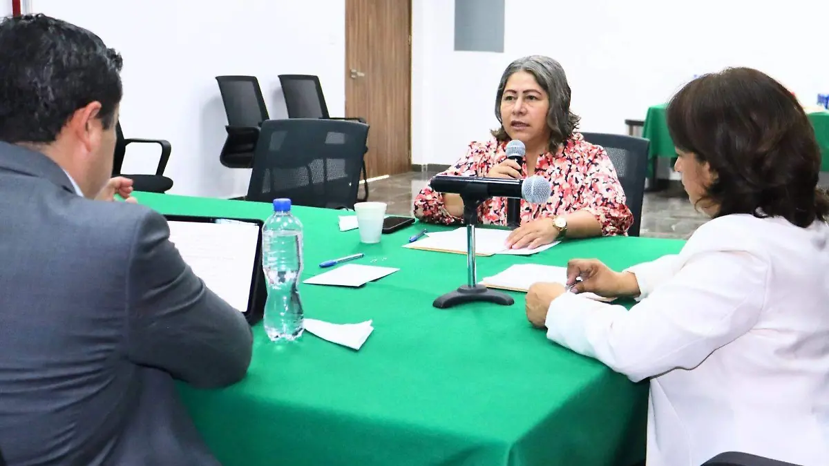 REUNIÓN SESA CONGRESO (2)