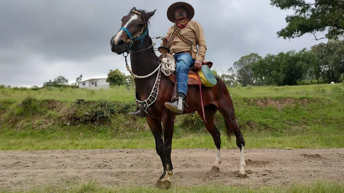 pancho 4