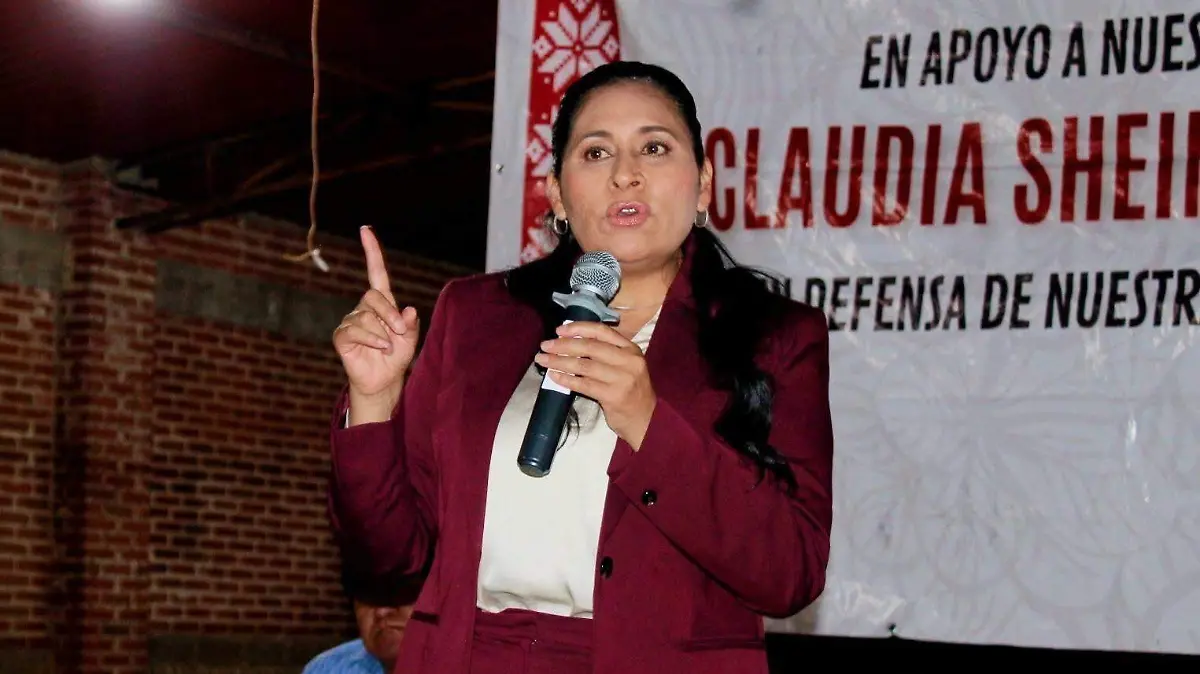 ANA LILIA INFORME  (1)
