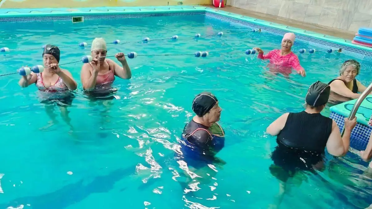 adultos 2