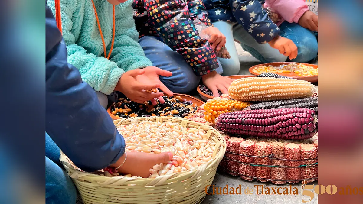 tianguis Ocotelulco 2 2.