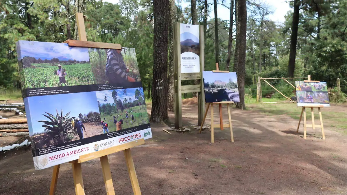 ANIVERSARIO MALINCHE 5