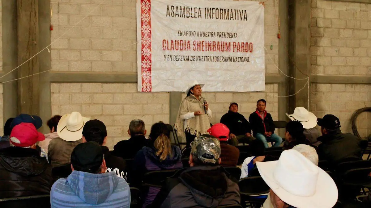 ANA LILIA REUNIONES (2)