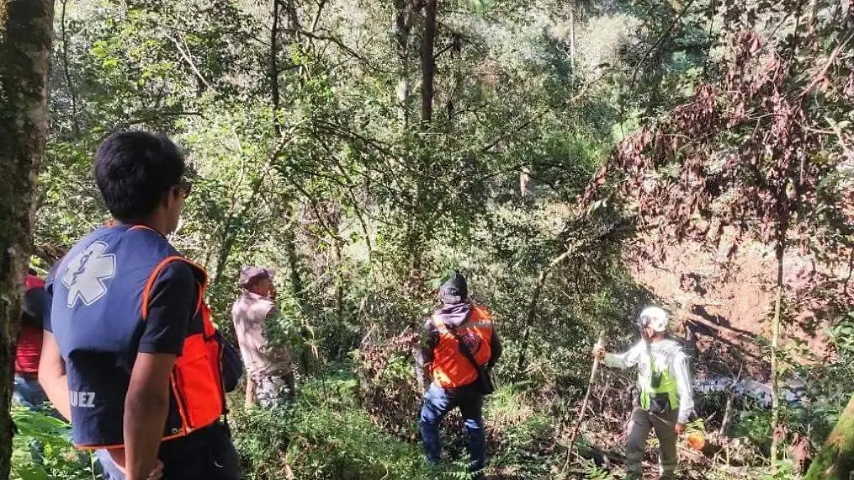 LA PROTECCIÓN CIVIL