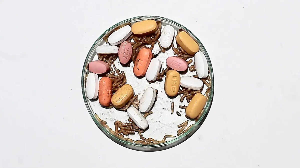 Ejercicios de adherencia 