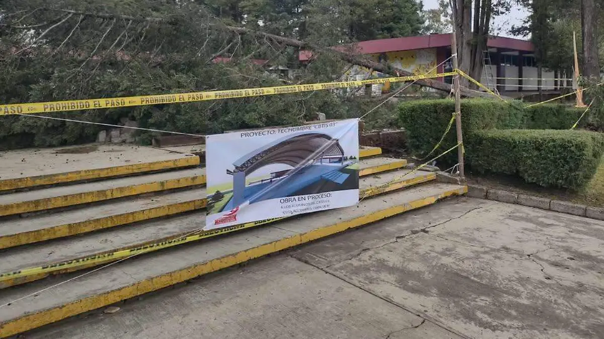 TECHUMBRE - TALA ÁRBOLES CBTIS 03