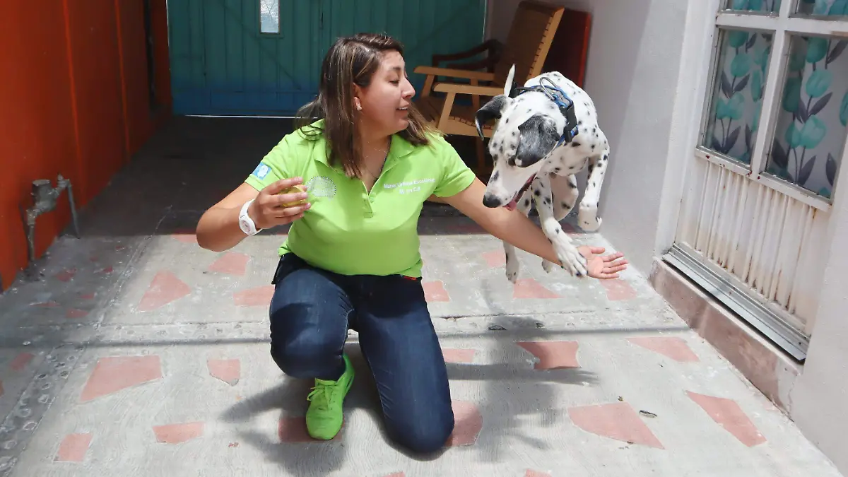 GANAN CONCURSO INTERNACIONAL UATX