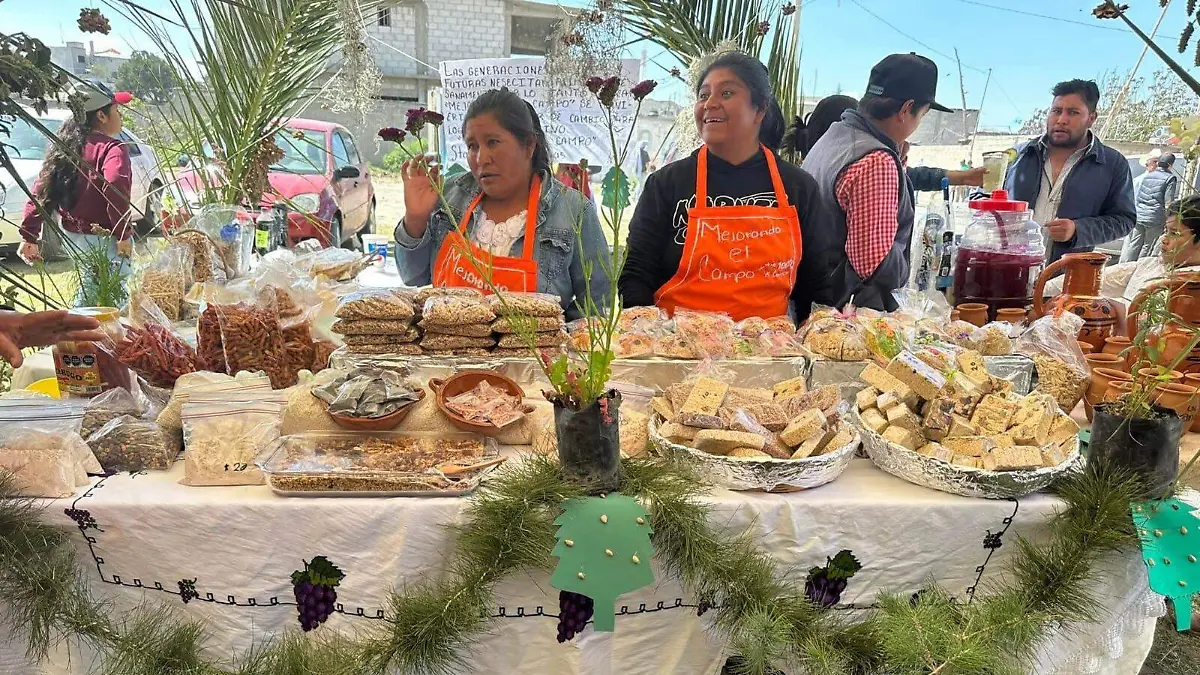 EL PIÑON DE SANTA MARÍA