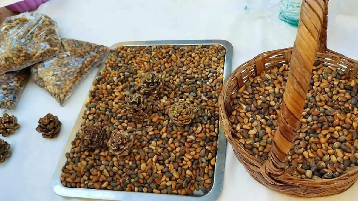 PIÑON 2