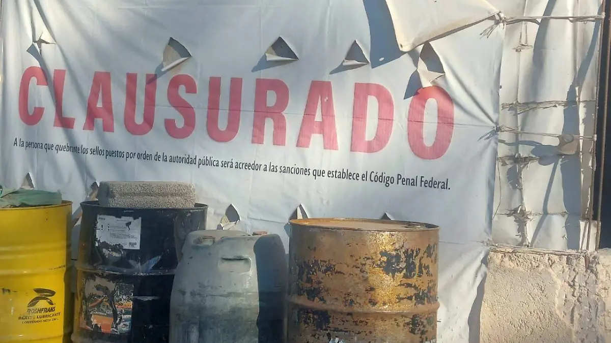 DESDE EL AÑO PASADO LA PROFEPA