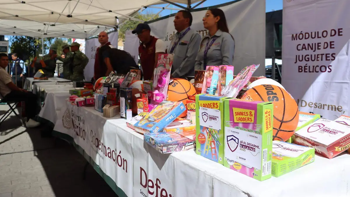 DESTRUCCIÓN ARMAS 9