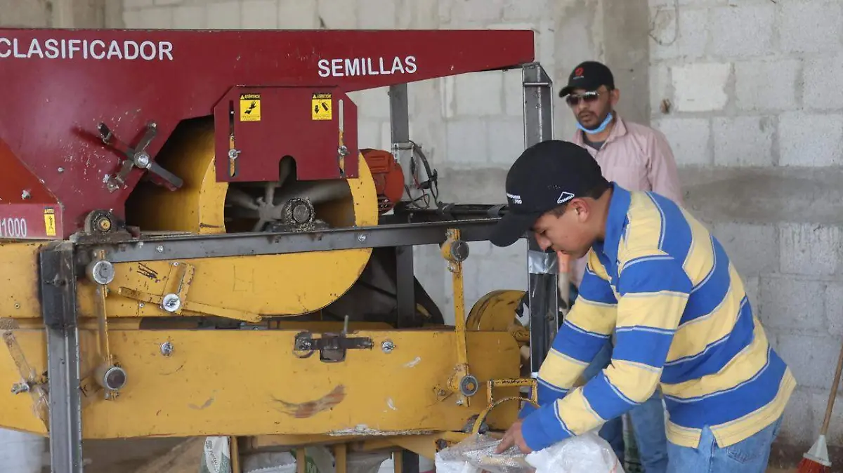 Consolida Tlaxcala liderazgo nacional en sector agroalimentario