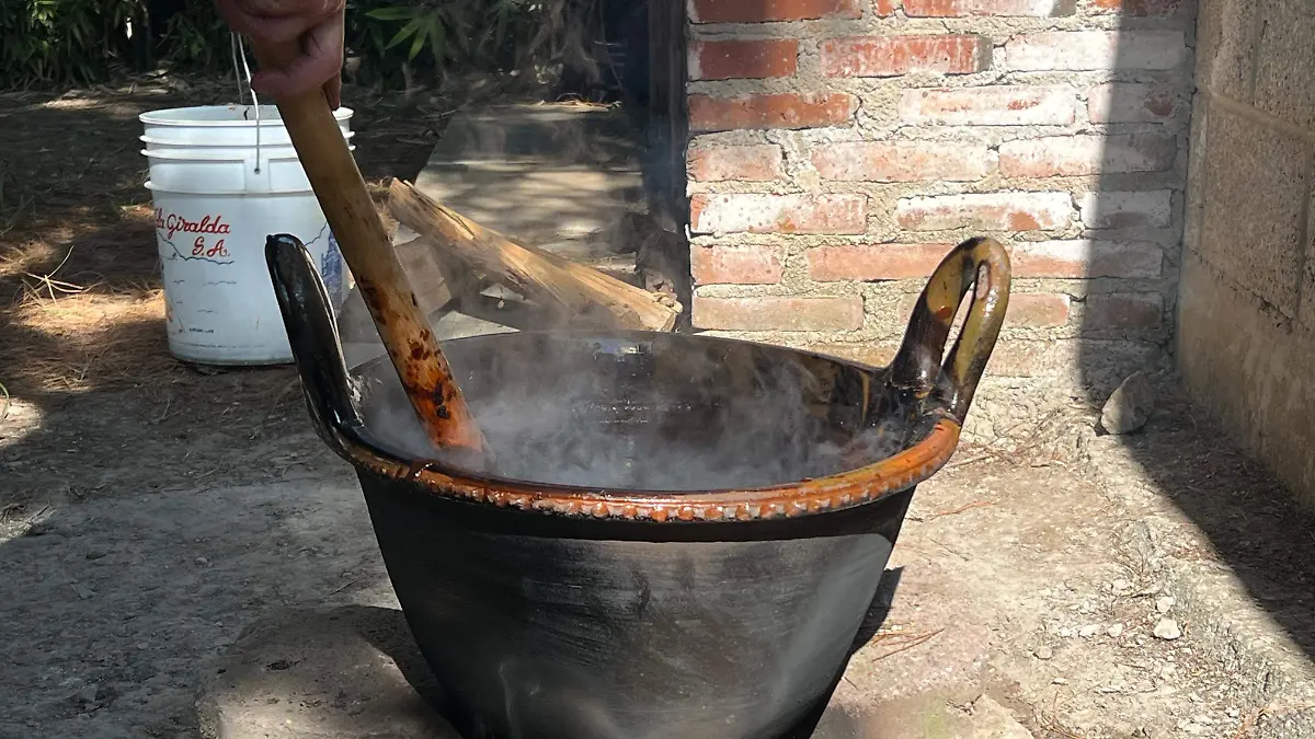 WhatsApp Image 2025-11-24 at 9.13.04 AM