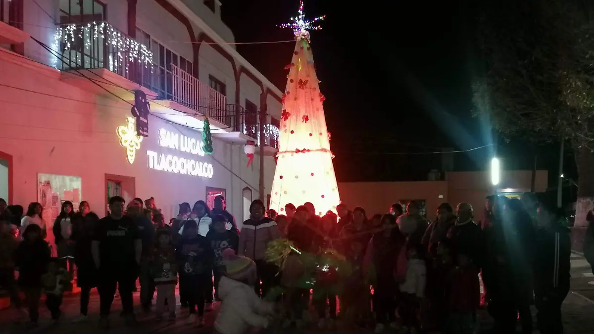 PIÑATAS - ÁRBOL NAVIDAD SAN LUCAS