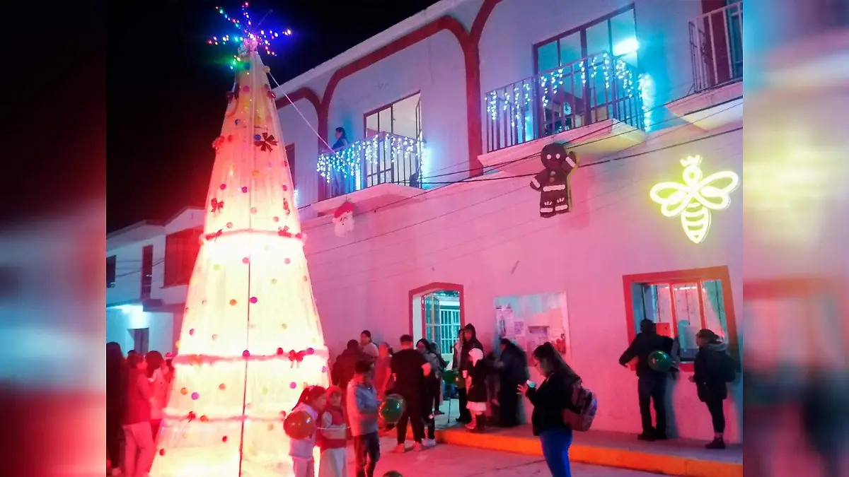 ÁRBOL TELA SAN LUCAS 2