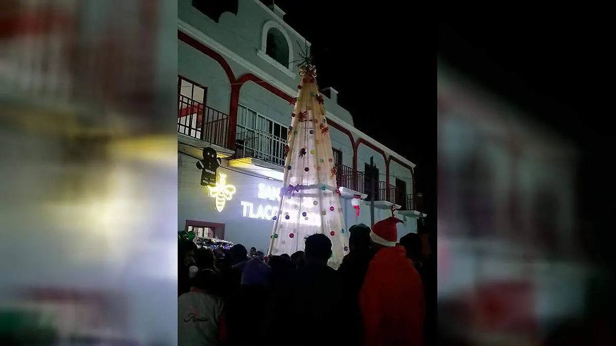 ÁRBOL TELA SAN LUCAS