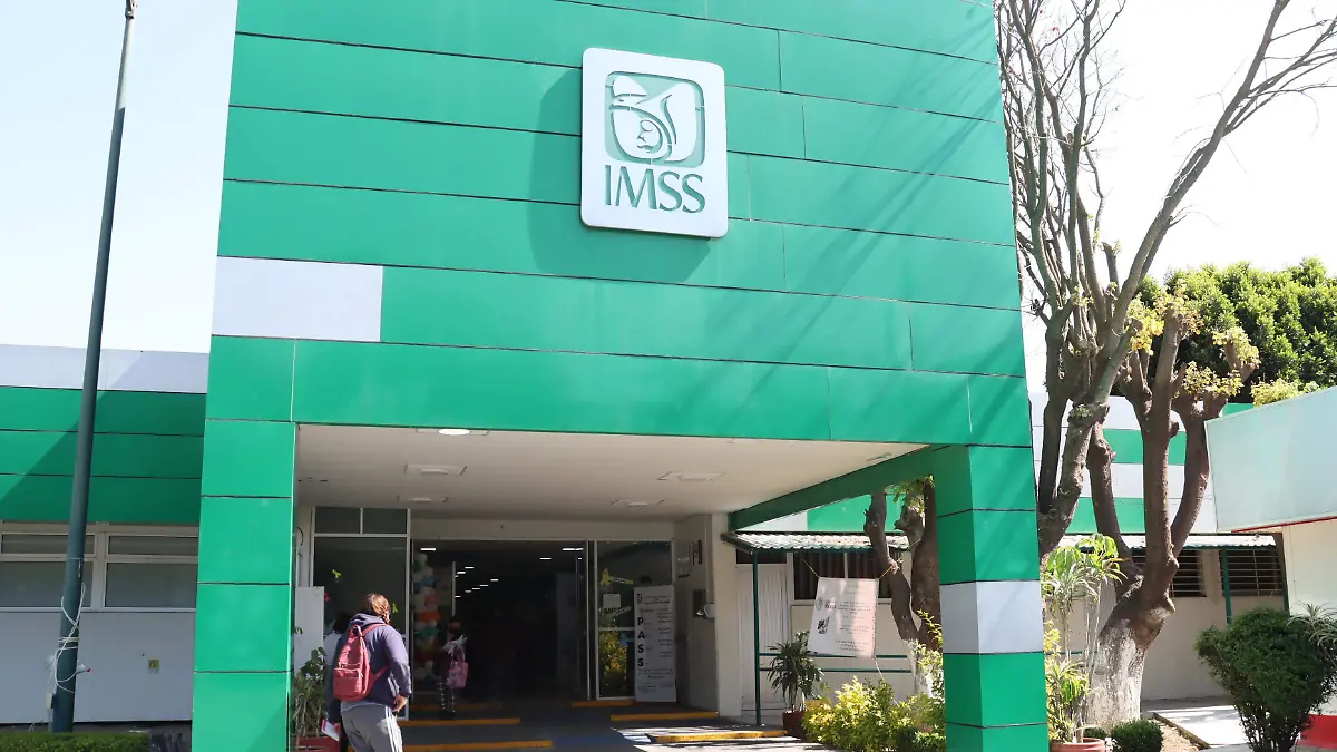IMSS 1