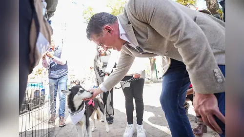 bienestar animal capital 2