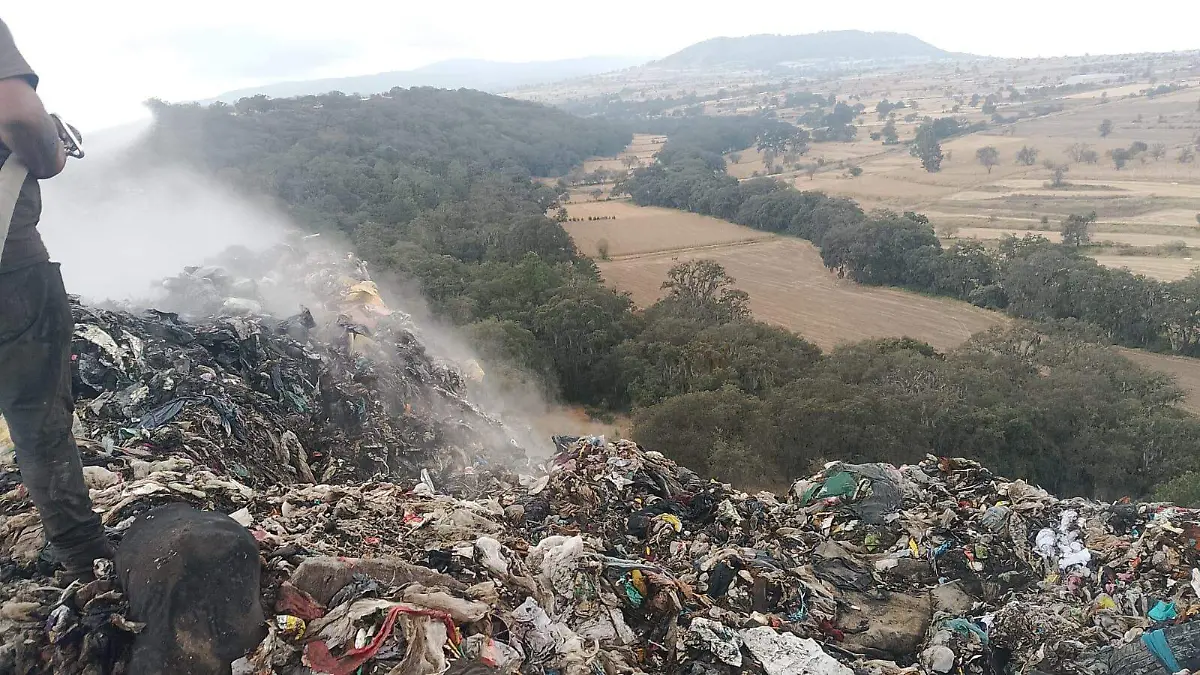 WhatsApp Image 2025-12-17 at 11.06.44 AM