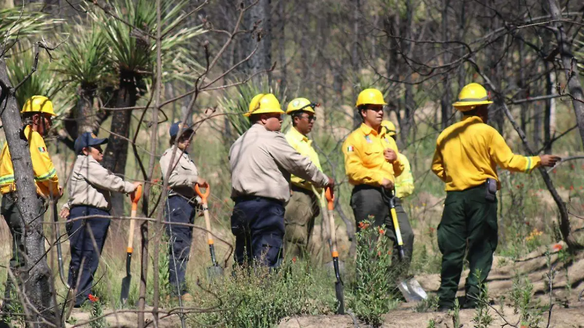 Impulsa Gobierno del Estado gestiones estratégicas para proteger el patrimonio natural (3)