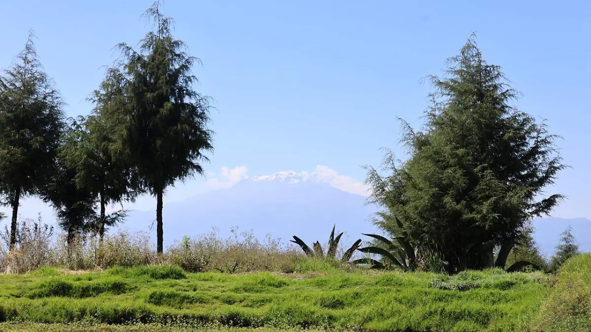 Impulsa Gobierno del Estado gestiones estratégicas para proteger el patrimonio natural (4)