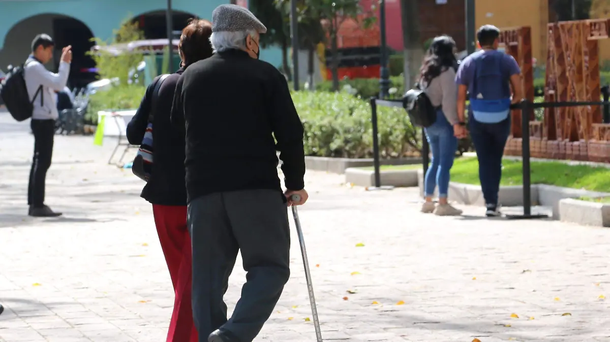 MÓDULOS ADULTOS (2)