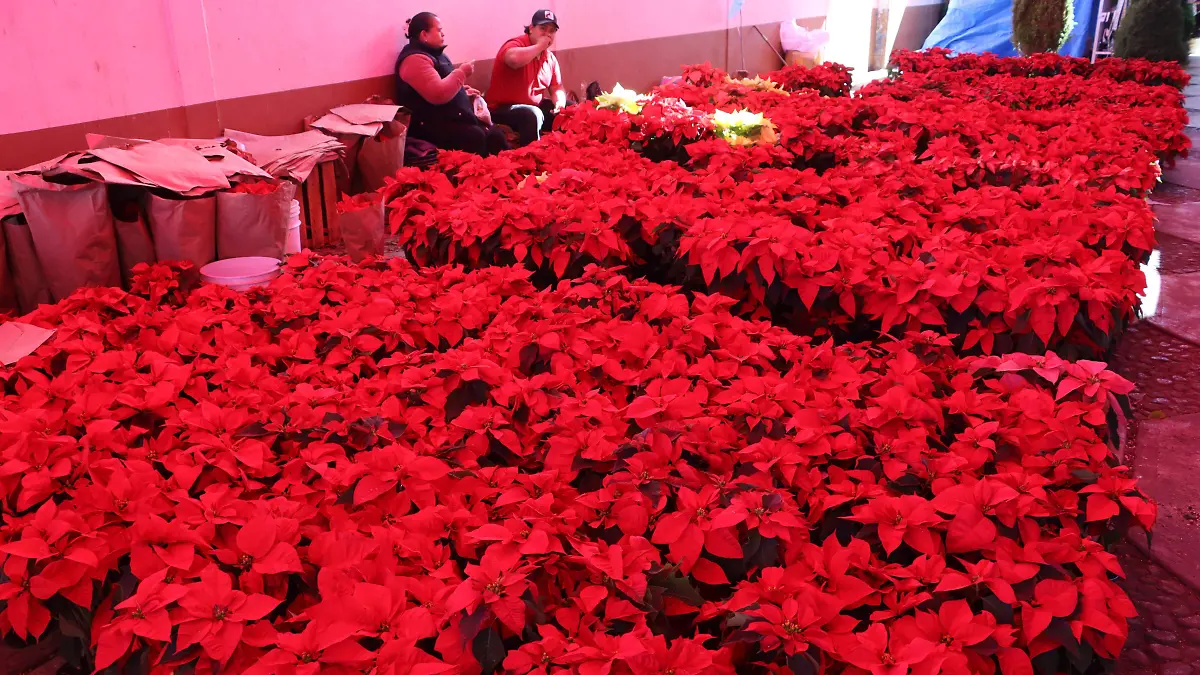 RECORRIDO COMERCIOS 1