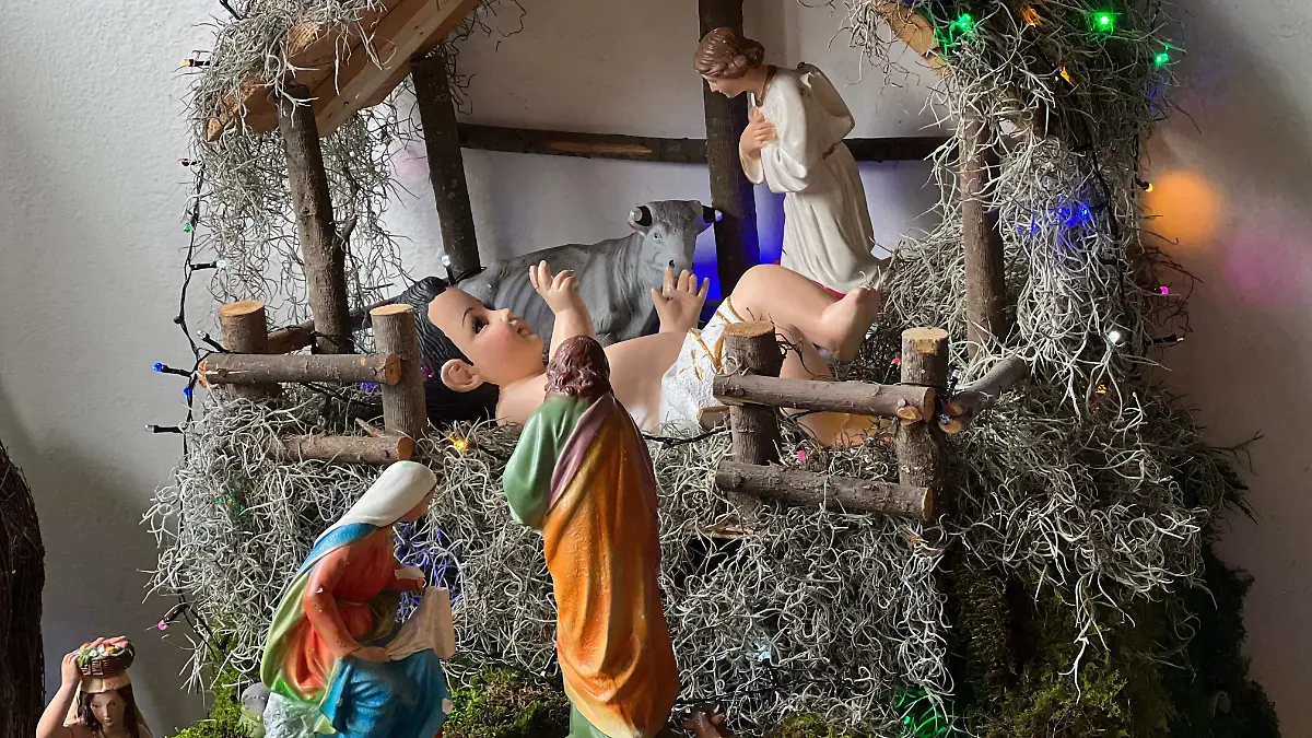 WhatsApp Image 2025-12-24 at 2.21.43 PM