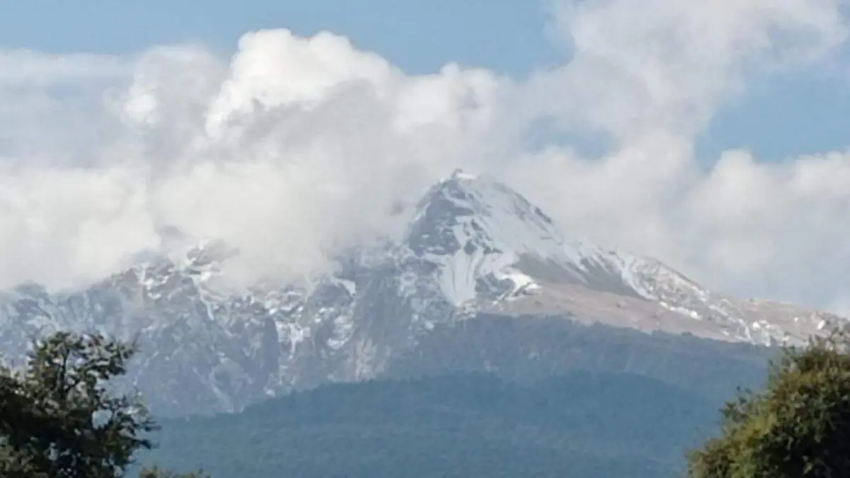 WhatsApp Image 2025-12-26 at 1.24.06 PM