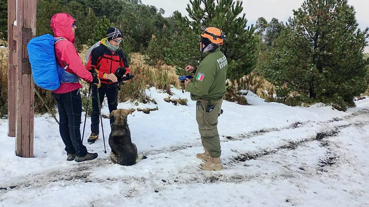 Primera nevada del año sorprende en Navidad y cubre la Malinche 2