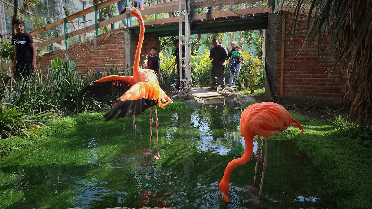 ZOOLÓGICO ALTIPLANO 5