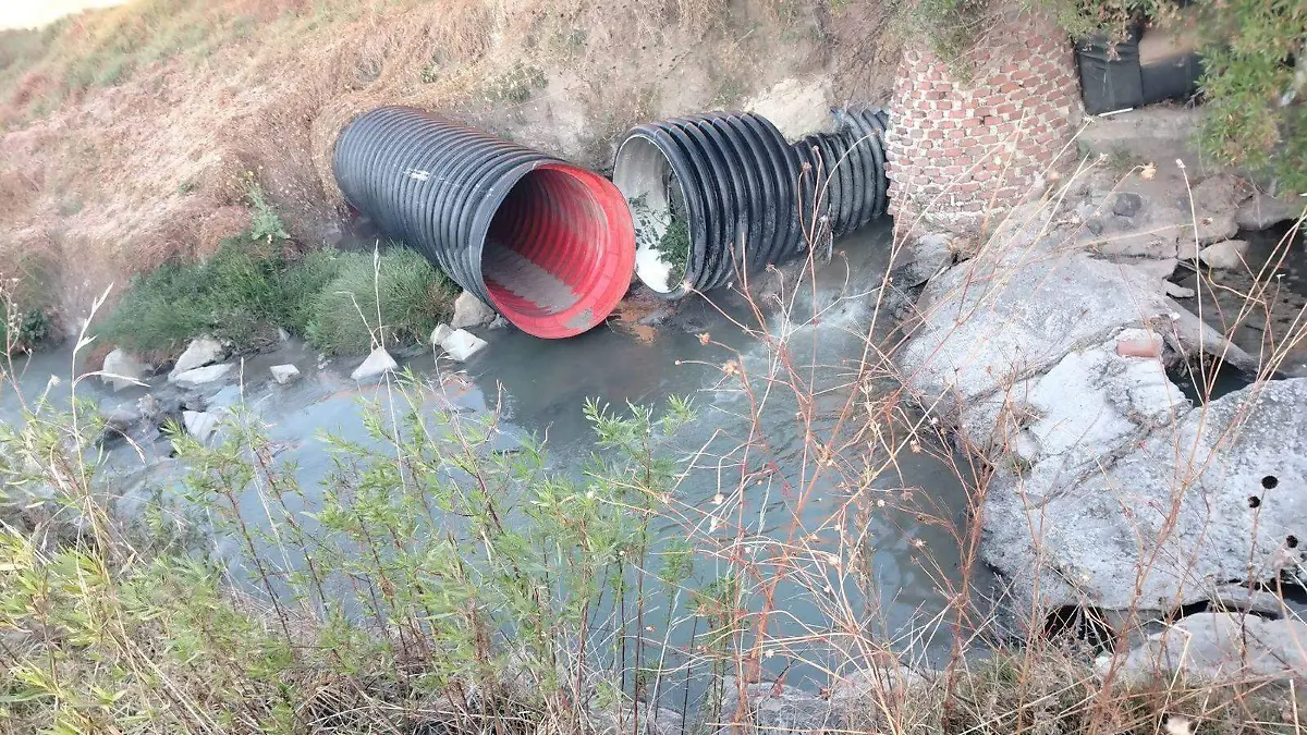 WhatsApp Image 2025-12-27 at 2.31.40 PM