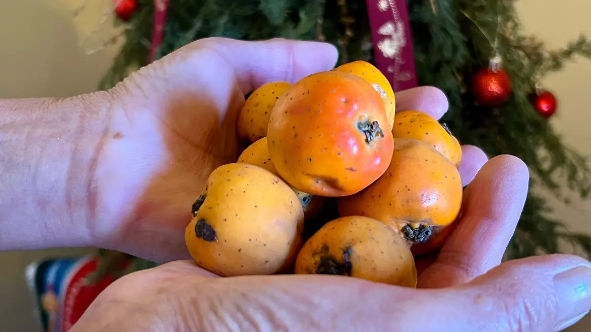 WhatsApp Image 2025-12-29 at 11.09.05 AM