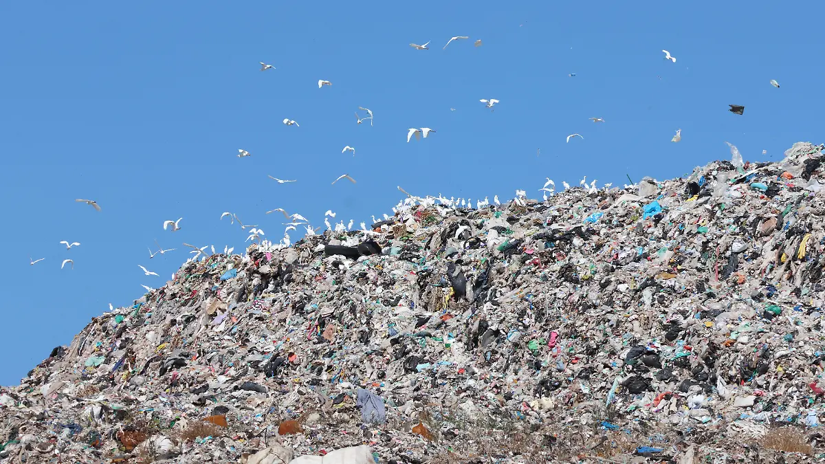 Relleno Sanitario Tetla 15