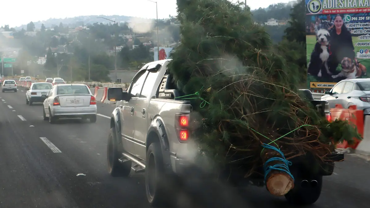 ÁRBOLES NAVIDEÑOS 2