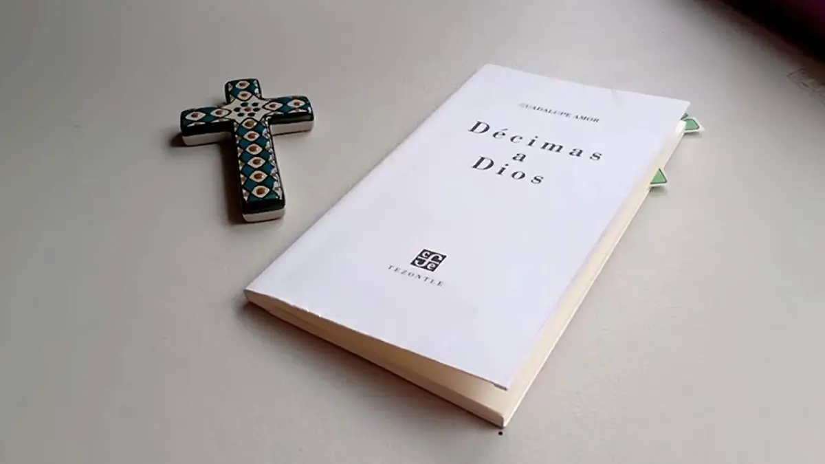 WhatsApp Image 2026-01-13 at 2.19.36 PM