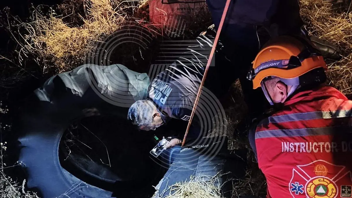 perrito rescatado (1).