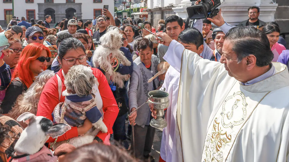 mascotas bendición (5).