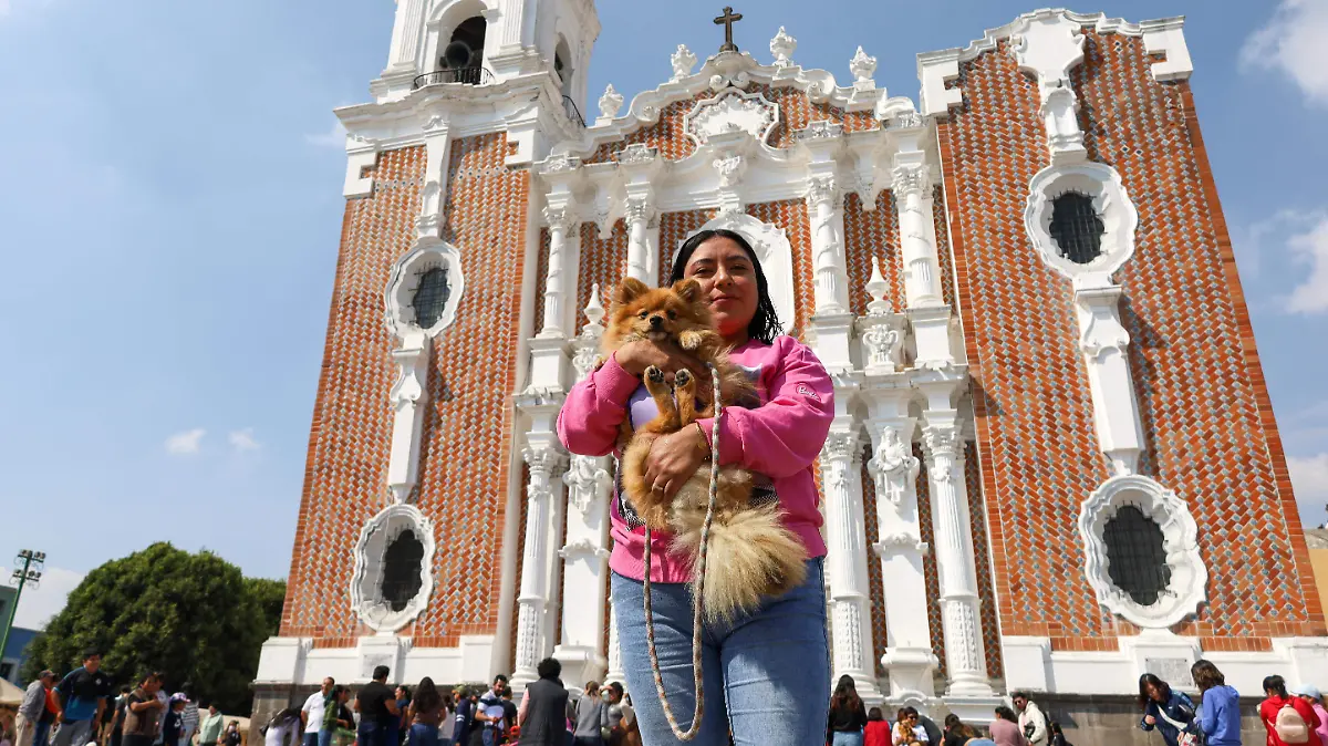 mascotas bendición (4).