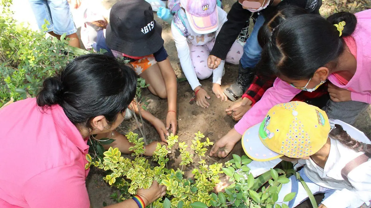 6fbaf876-d4e7-471b-9204-64cec30f156c