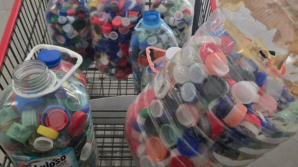 WhatsApp Image 2026-01-25 at 4.56.41 PM