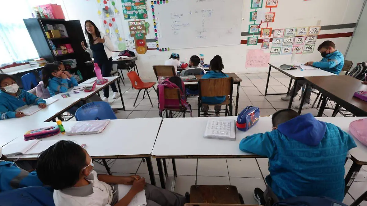 WhatsApp Image 2026-01-26 at 3.36.01 PM (1)